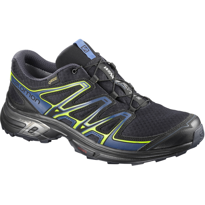 SALOMON WINGS FLYTE 2 GTX® Philippines - Men's Trail Running Shoes - Black | 147369-GXD
